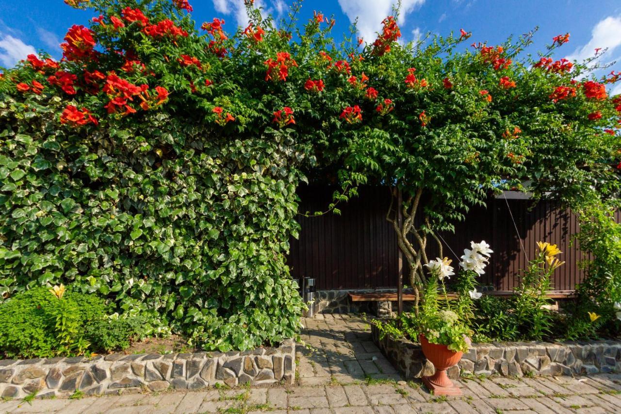 Абхазская Усадьба Hotel Gagra Luaran gambar